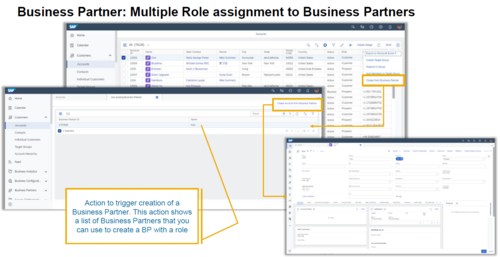 Business Partner: Multiple Role assignment to Business Partners