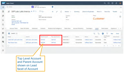 Top Level Account and Parent Account